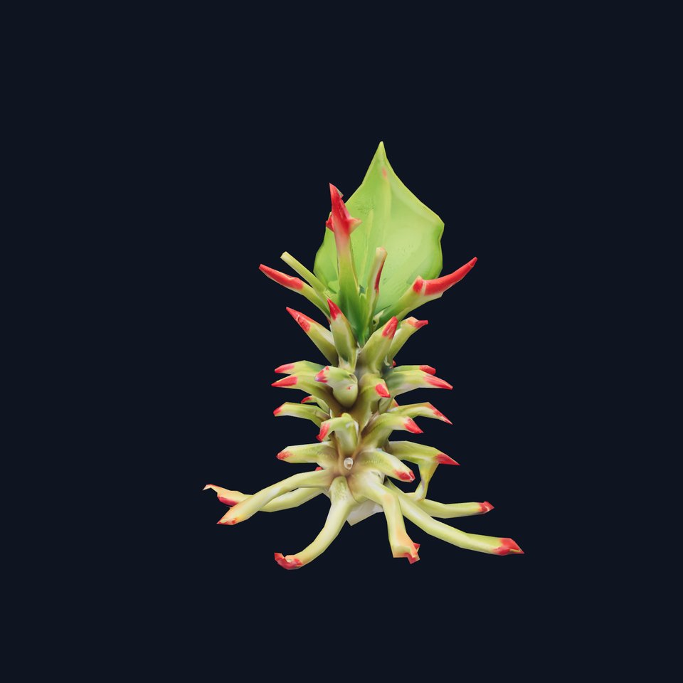 Exotic Spiky Plant model pack